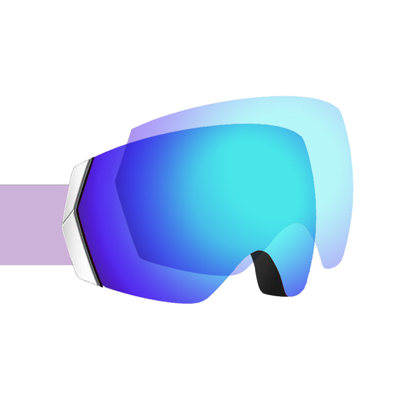 Ski Goggles